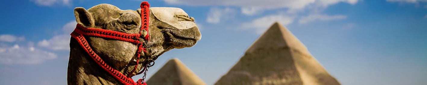 <p>EGIPTO CL&Aacute;SICO</p>
