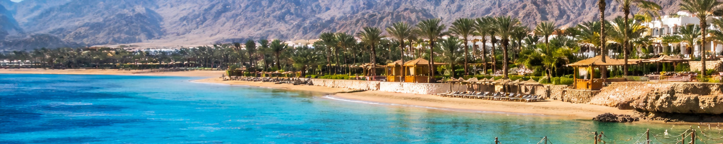 <p>NILO Y SHARM</p>
