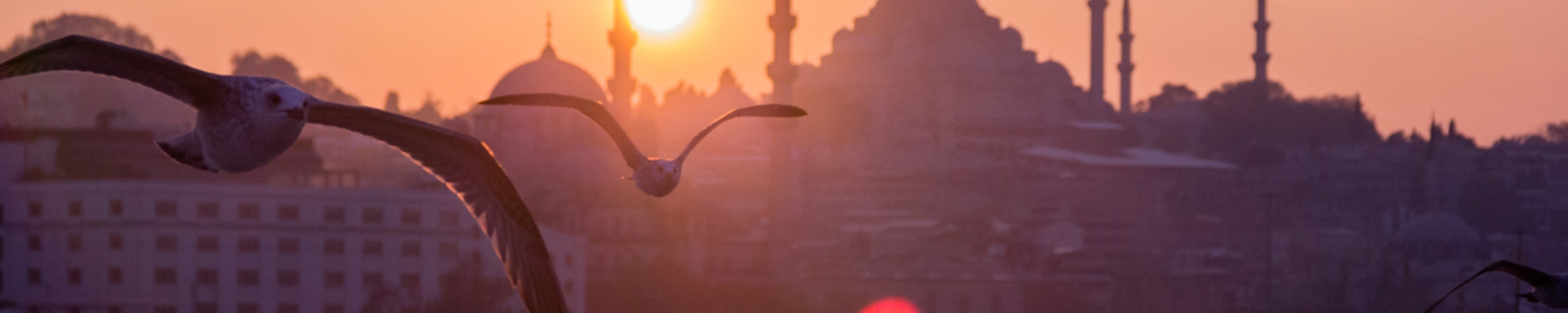 <p>TESOROS DE TURQUIA</p>
